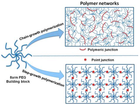 polymers  full text influence  network structure