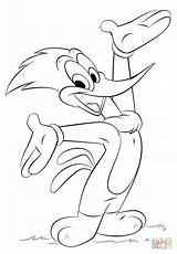 Woody Woodpecker Pica Pau Loco Picchiarello Pajaro Picchio Pájaro Animados Feliz Draw Categorias Ninos sketch template