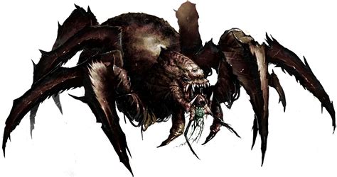 giant spider jjcn dd adventures wiki fandom