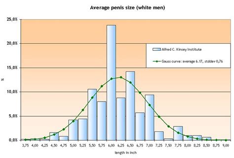 Average Penis Size 2006 03 Size