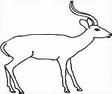 Antilope Antelope Coloriages Attrayant Pintarcolorir sketch template