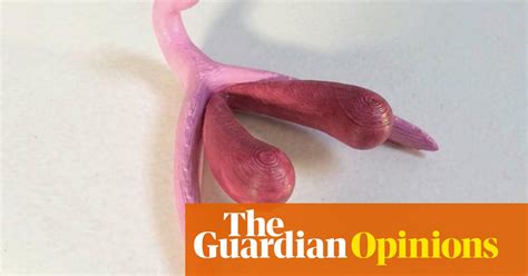 This Is A 3d Model Of A Clitoris – And The Start Of A Sexual Revolution
