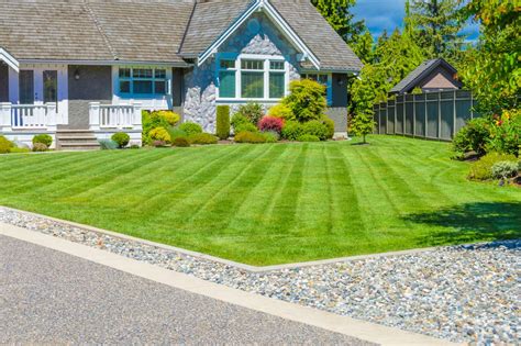 how to stripe a lawn it looks good and is good for your grass hgtv