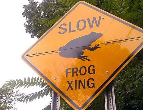19 confusing and hilarious traffic signs the hollywood gossip