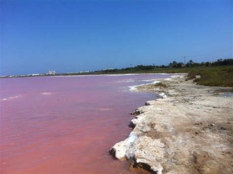 het roze zoutmeer met aan de oever zoutafzetting foto van las salinas de torrevieja