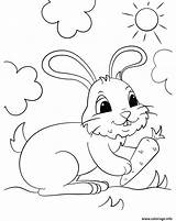 Coloring Bunny Carotte Lapin Tenant 99worksheets Desalas sketch template
