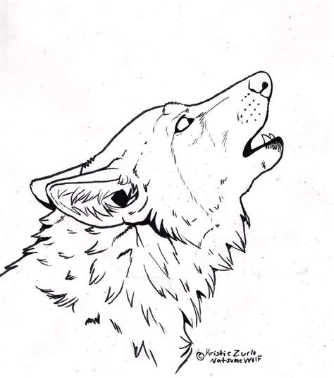 wolf  art wolf face drawing wolf head drawing
