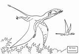 Dimorphodon Coloring Pages Pterodactyl Ceratosaurus Drawing Color Dinosaurs Dinosaur Printable Colorings Book Getcolorings Online sketch template