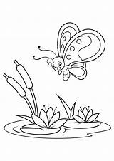 Mariposa Lilies Farfalle Lirios Schmetterling Vlinders Seerose Flies Fiori Volando Mariposas Sopra Schmetterlings Reeds Farfalla Stampare Ninfee Juncos Kleurplaten sketch template
