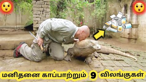 amazing animals tamil galatta news