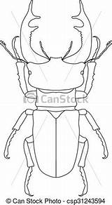 Stag Beetle Coloring Drawing 470px 48kb Paintingvalley sketch template