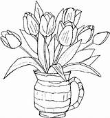 Coloring Tulip Pages Nature Printable Kb sketch template