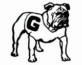 Georgia Coloring Bulldog Pages Bulldogs Drawings University Printable Logo Print Color Drawing Clipart Template Getcolorings Getdrawings Col Paintingvalley Comments Keeffe sketch template