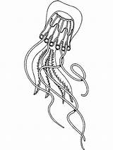 Jellyfish Coloring Pages Printable Fish Color Recommended sketch template