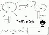 Cycle Water Coloring Worksheet Kids Pages Diagram Grade Clipart Worksheets Simple Sheets Drawing Sheet Answers Activity Easy Activities Science Label sketch template