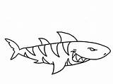Shark Coloring Tiger Pages Hammerhead Drawing Kids Blue Whale Mako Drawings Scary Threatening Hunting Color Getdrawings Sharks Sheet Printable 454px sketch template