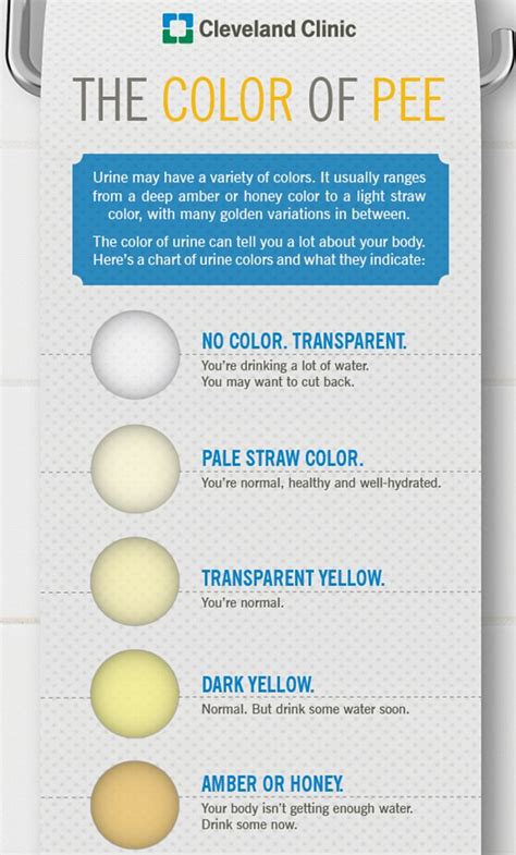 What Your Pee Says About Your Health A Clear Stream Means