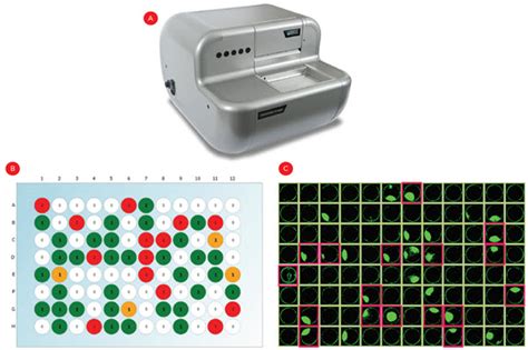 automating cell line development
