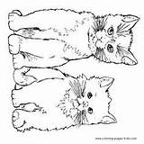 Coloring Cat Pages Cats Animal Color Printable Two Cute Tabby Kids Dogs Sheets Print Kittens Dog Printables Stamps Animals Children sketch template
