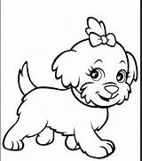Corgi Coloring Pages Drawing Cartoon Puppy Sheets Getdrawings sketch template