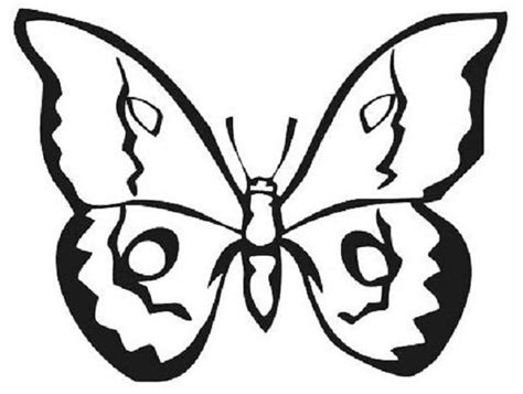 activities butterflies coloring pages kids colouring pages insect