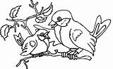 Robin Coloring Pages Baby Kids sketch template