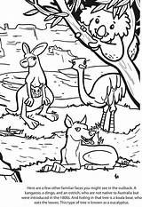 Outback Coloring Australian Animals Pages Kids Animal Sheets Colouring Color Australia Drawings Template Designlooter Activities Activity Books Children Choose Board sketch template
