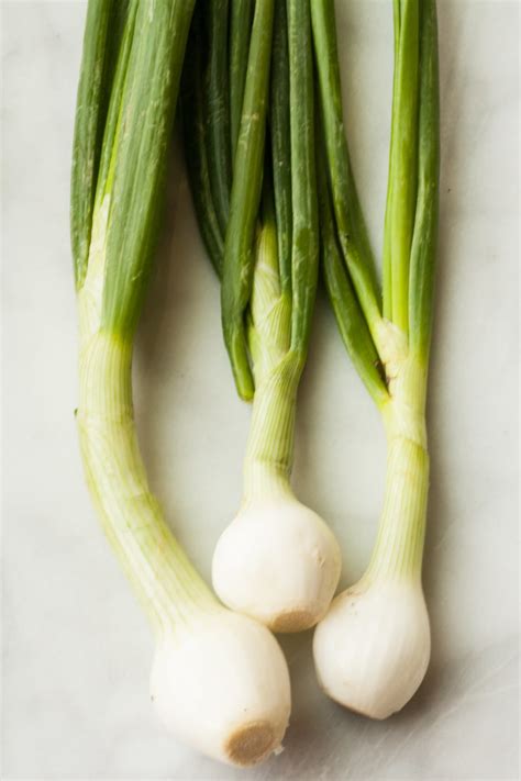 difference  scallions  green spring onions kitchn