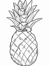 Supercoloring Pineapples sketch template