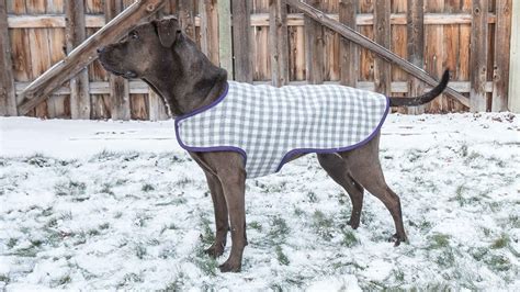 designs dog coat patterns  large dogs nellynaveera