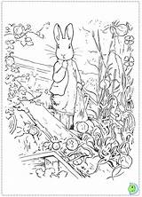 Rabbit Peter Coloring Pages Nick Jr Template sketch template