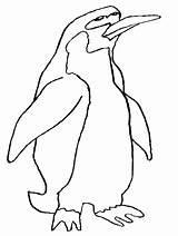 Coloring Penguin Pages Penguins Cartoon Clipart Animals Kids Library Cliparts Printable Clip Galapagos Color Para Colorear Pinguino Wombat Penguen Print sketch template