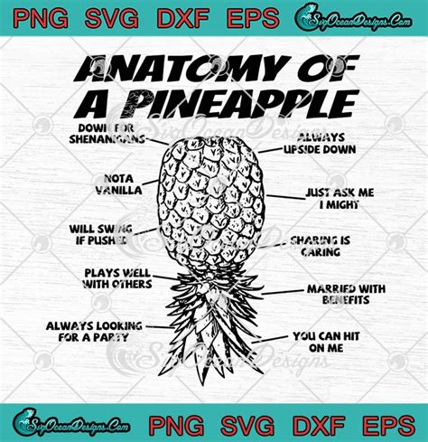 Anatomy Of A Pineapple Swinger Svg Funny Upside Down Pineapple Novelty