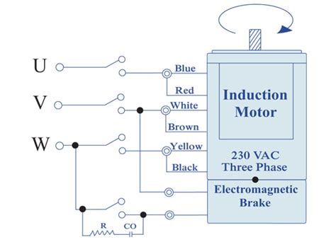 wiring diagram   phase motor
