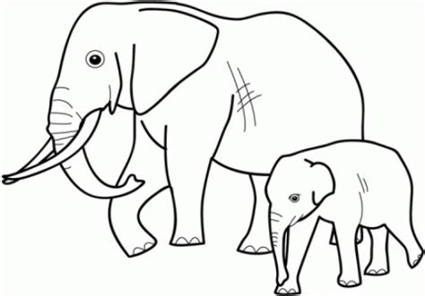 printable elephant coloring pages  preschoolers