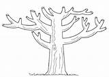 Arboles Invierno Tronco Dibujo árbol árboles Otoño Template Getekende sketch template