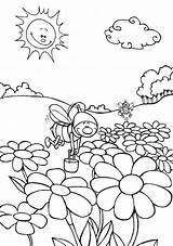 Coloring Field Flowers Bumblebee Feilds Pages Color Activities Designlooter Printable Getdrawings Getcolorings 56kb 854px sketch template