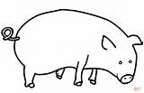 Schwein Pig Zum Ausmalbild sketch template