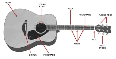 acoustic guitar buyers guide