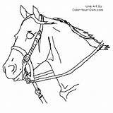 Horse Roping Coloring Pages Color Headstudy Own Line Index sketch template