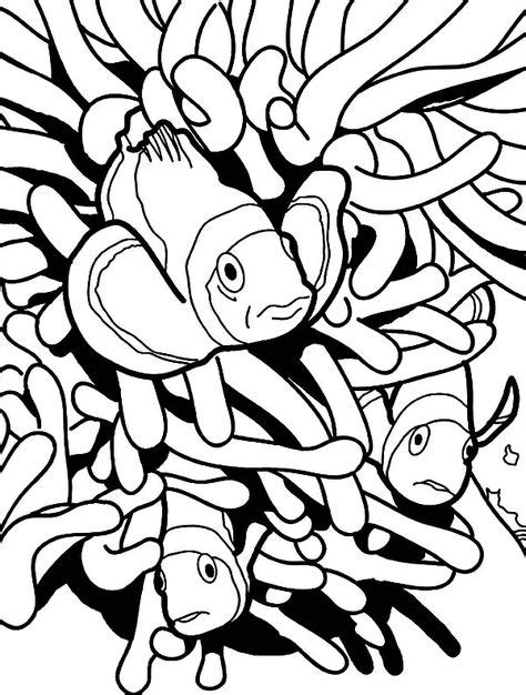clown fish coloring pages ideas clown fish coloring pages fish