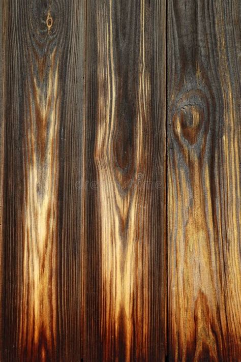 beautiful wood texture stock image image  background