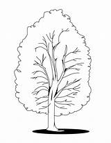 Tree Coloring Pages Kids Fall Printable sketch template