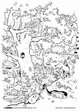 Wald Tiere Natur Ausmalbilder Auswählen Pinnwand sketch template