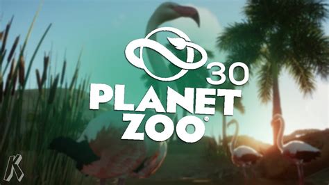 flamingo verblijf bouwen  planet zoo  youtube
