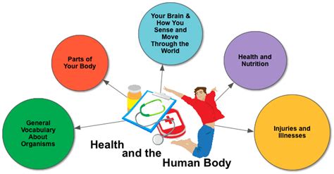 health   human body textproject