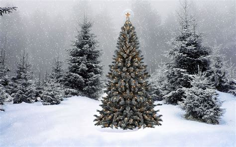 christmas scenery wallpapers  images