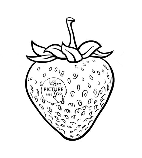 realistic strawberry coloring page  kids fruits coloring pages
