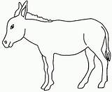 Ane Burro Burros Donkey Africanus Equus Asinus Animais Jumento Desenhosparapintareimprimir Pasture Mule Fazenda Fois Imprimé sketch template