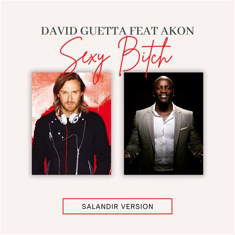 David Guetta Feat Akon Sexy Bitch Salandir Version [extended